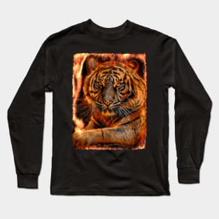 Fire tiger color power Long Sleeve T-Shirt